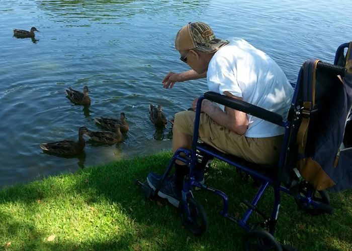 Community Habilitation Program Feeding the Ducks