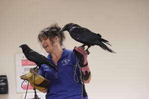 A handler holds a raven in one hand and a crow in the other